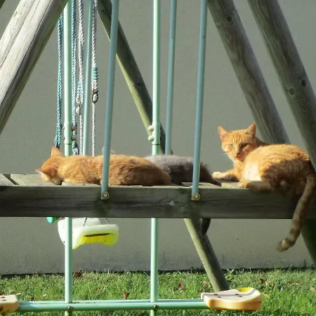 La Maison De Mathilde *