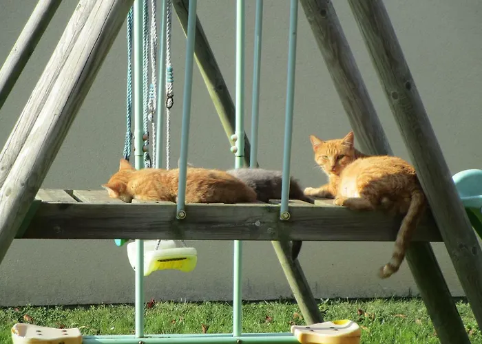 La Maison De Mathilde *